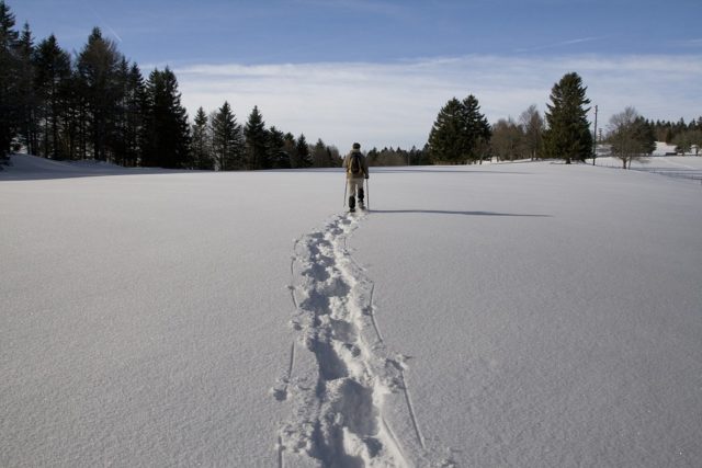 cross country skiing across a frozen field or lake